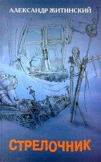 Александр Житинский - Стрелочник
