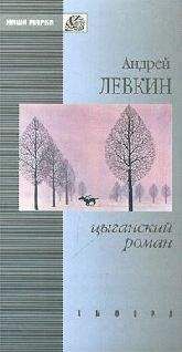 Андрей Левкин - Цыганский роман (повести и рассказы)