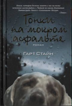 Гарт Стайн - Гонки на мокром асфальте