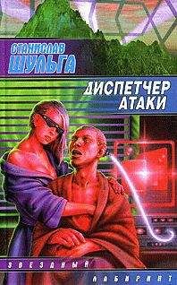Станислав Шульга - Медный гвоздь