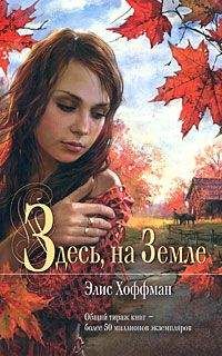 Элис Хоффман - Здесь на Земле