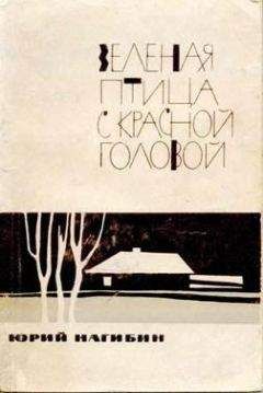 Юрий Нагибин - Через двадцать лет