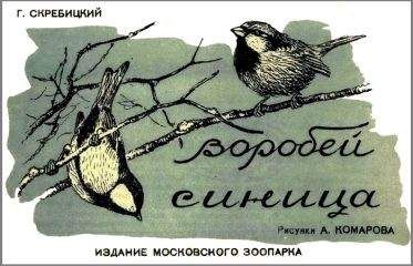 Георгий Скребицкий - Воробей. Синица