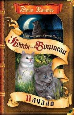 Эрин Хантер - Пророчество Синей Звезды. Начало