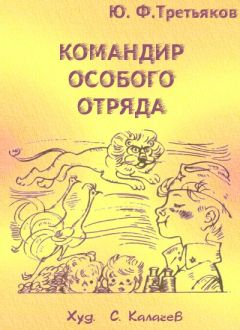 Юрий Третьяков - Командир особого отряда. Повести и рассказы