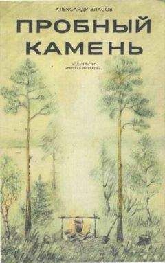 Александр Власов - Пробный камень