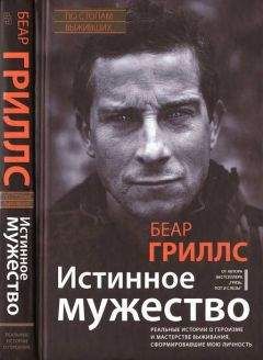 Беар Гриллс - Истинное мужество. Реальные истории о героизме и мастерстве выживания, сформировавшие мою личность
