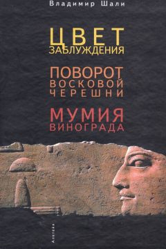 Владимир Шали - Цвет заблуждения. Поворот Восковой Черешни. Мумия винограда