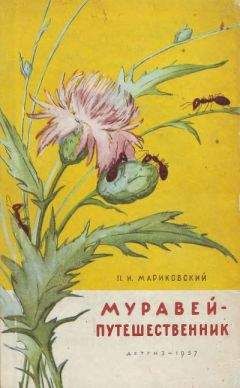 Павел Мариковский - Муравей-путешественник