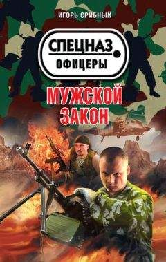 Игорь Срибный - Мужской закон