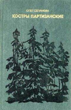 Олег Селянкин - Костры партизанские. Книга 2