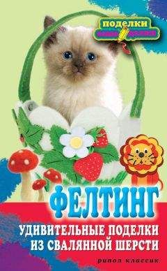 Вера Преображенская - Фелтинг. Удивительные поделки из свалянной шерсти