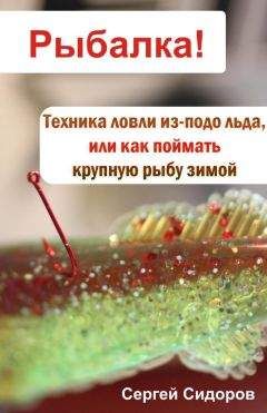 Сергей Сидоров - Техника ловли из-подо льда, или Как поймать крупную рыбу зимой