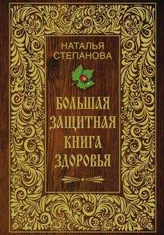 Наталья Степанова - Большая защитная книга здоровья