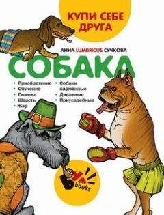 Анна Сучкова - Купи себе друга: собака