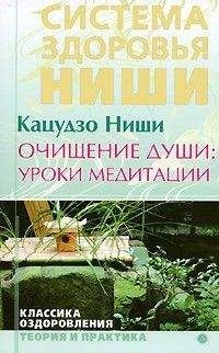 Ниши Кацудзо - Очищение души: уроки медитации