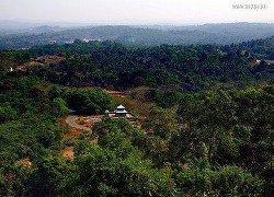 Паломничества. Приход Мадхвачарьи. Удупи - Рузов Вячеслав Олегович 