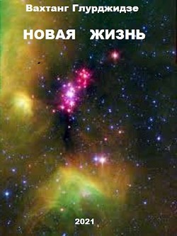 Новая жизнь (СИ) - Глурджидзе Вахтанг 