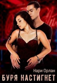 Буря настигнет (СИ) - Орлан Нари