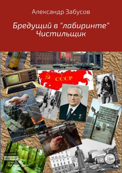 Бредущий в «лабиринте». Книга 2. Чистильщик (СИ) - Забусов Александр