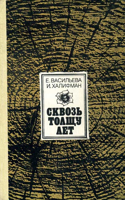 Сквозь толщу лет - Евгения Николаевна Васильева