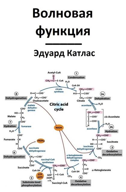 Волновая функция - Эдуард Катлас