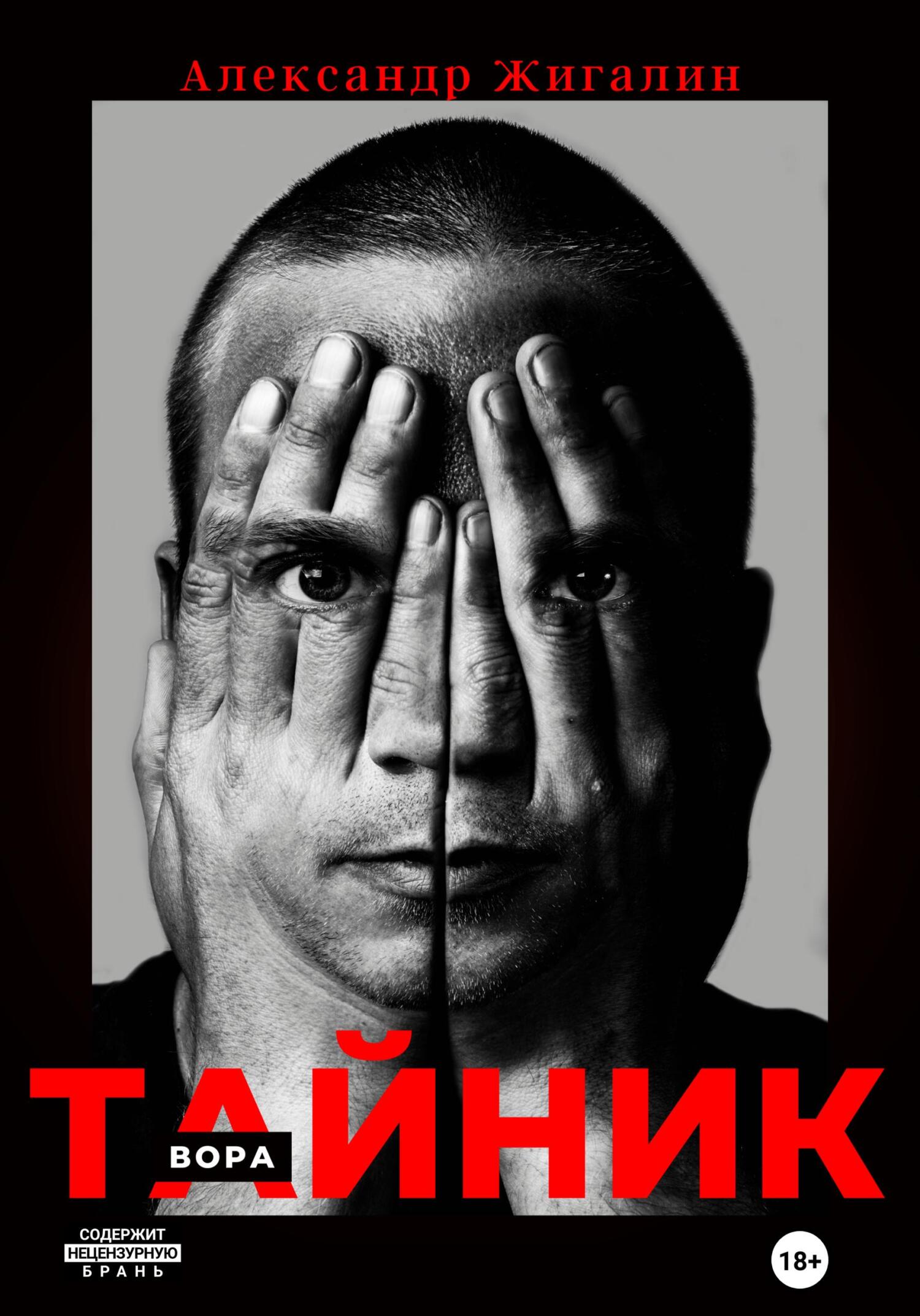 Тайник вора - Александр Жигалин