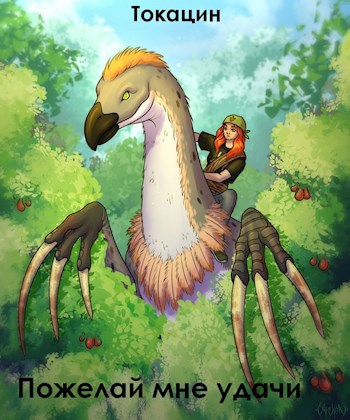 Пожелай мне удачи - Токацин