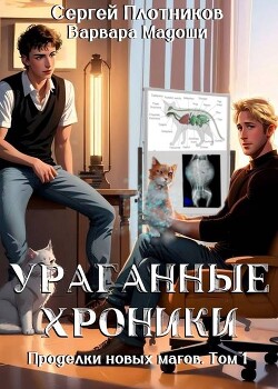 Ураганные хроники - Плотников Сергей Александрович