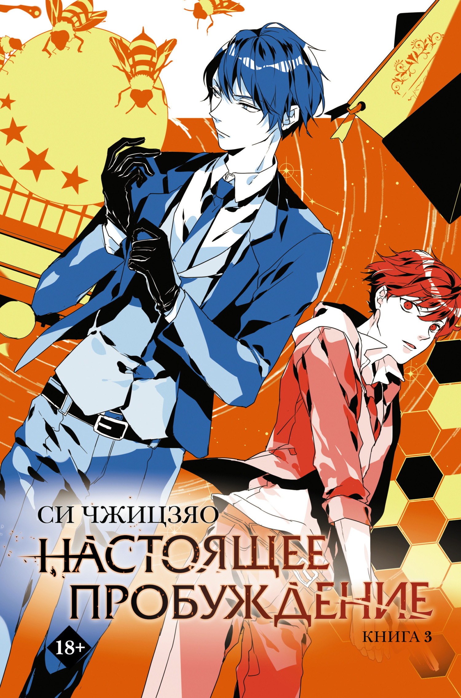 Настоящее пробуждение. Real Awakening. Книга 3 - Си Чжицзяо