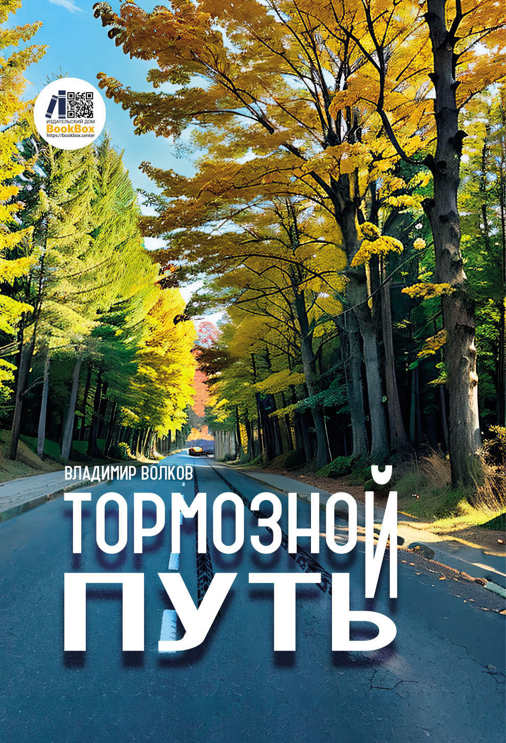 Тормозной путь - Владимир Волков-2