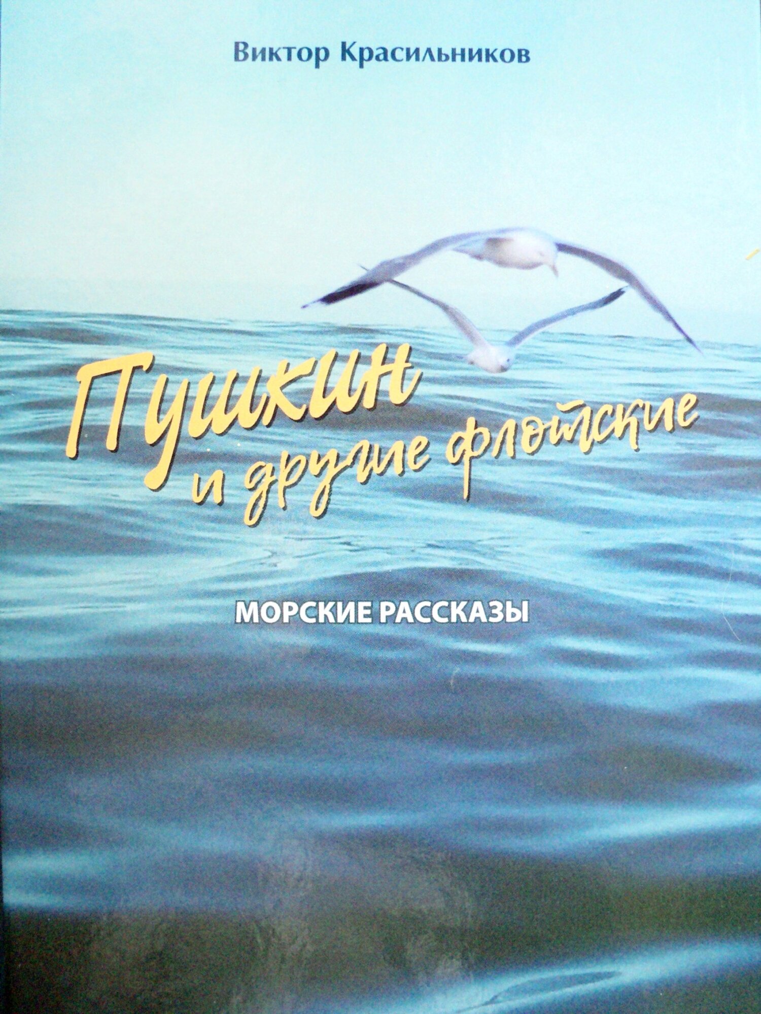 Пушкин и другие флотские. Морские рассказы - Виктор Красильников