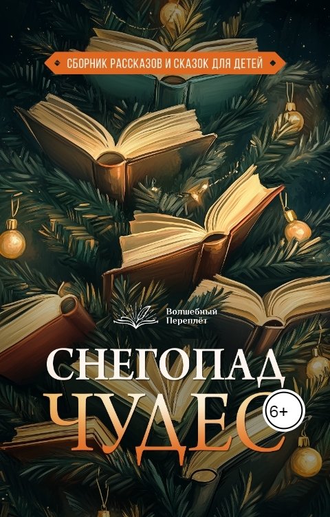 Снегопад чудес - Сухов