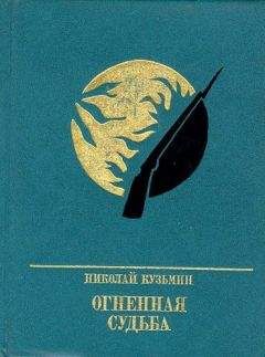Николай Кузьмин - Огненная судьба. Повесть о Сергее Лазо