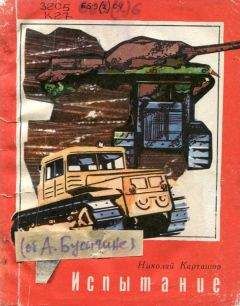 Николай Карташов - Испытание