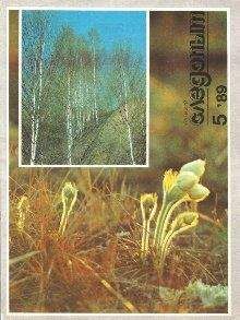 Аркадий Стругацкий - Жук в муравейнике (киносценарий)