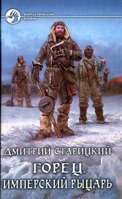 Дмитрий Старицкий - Имперский рыцарь